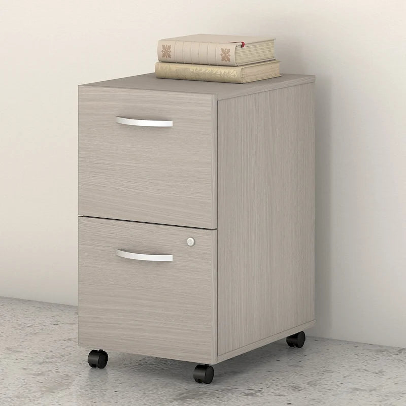 Studio C 2-drawer Mobile File Cabinet by