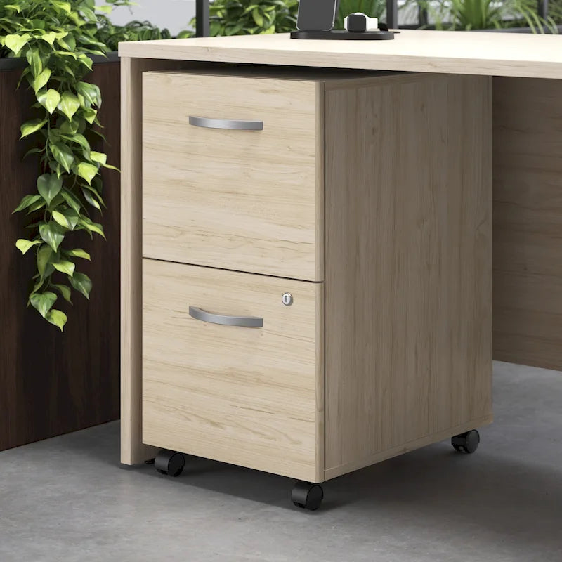 Studio C 2-drawer Mobile File Cabinet by