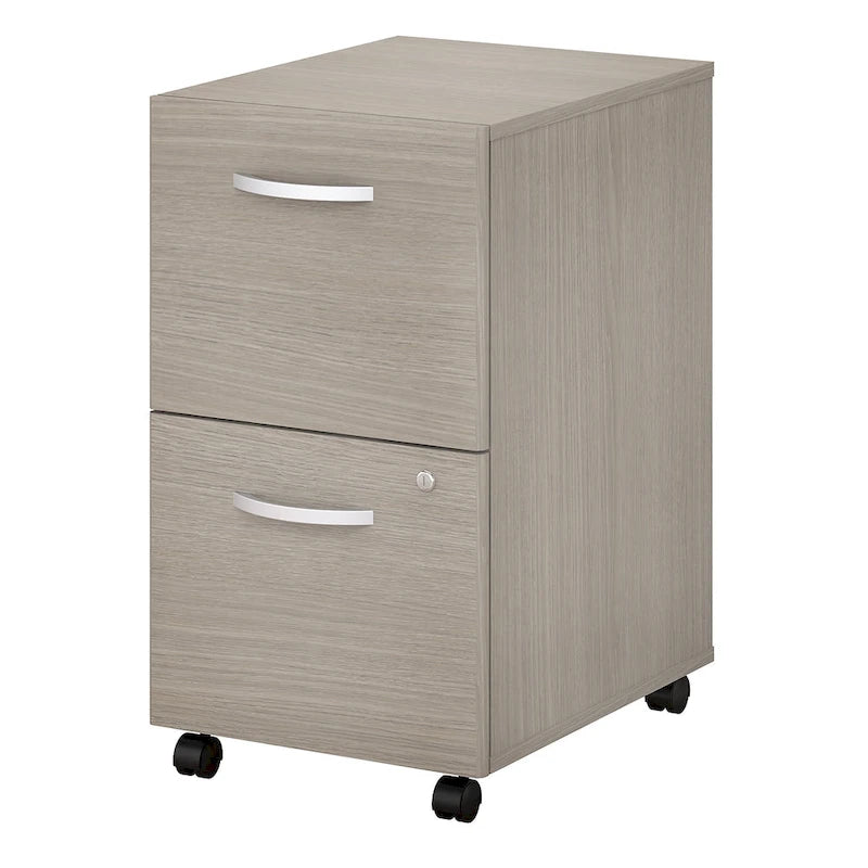 Studio C 2-drawer Mobile File Cabinet by