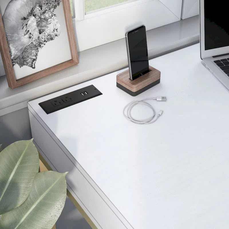 Bird Modern 42-inch Metal Computer Desk with USBs by