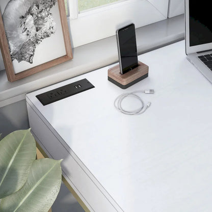 Bird Modern 42-inch Metal Computer Desk with USBs by